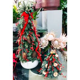 Cono di abete nordmanniana fresco decorato natalizio con pine e altro