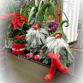 elfo decorativo natalizio di abete, tuia e altri elementi