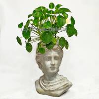 Vaso a forma di testa con pianta decorativa