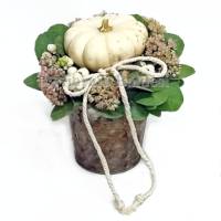 composizione autunnale in vasetto con zucca ornamentale bianca, sedum, eucalipto, altro